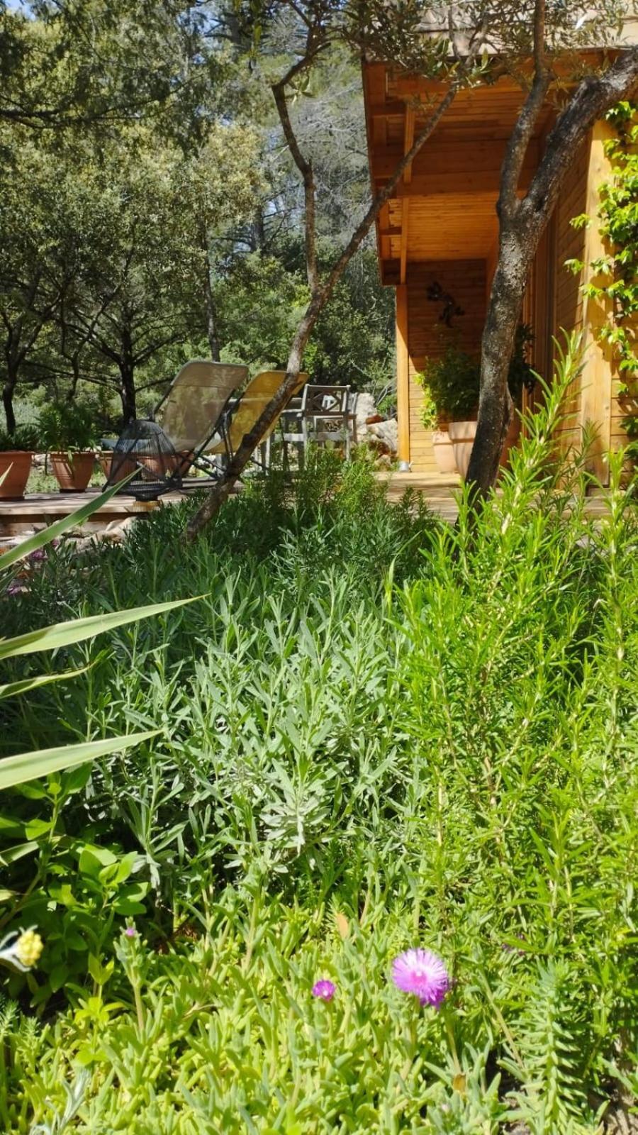 La Bergerie Des Colles Bed and Breakfast Entrecasteaux Eksteriør billede
