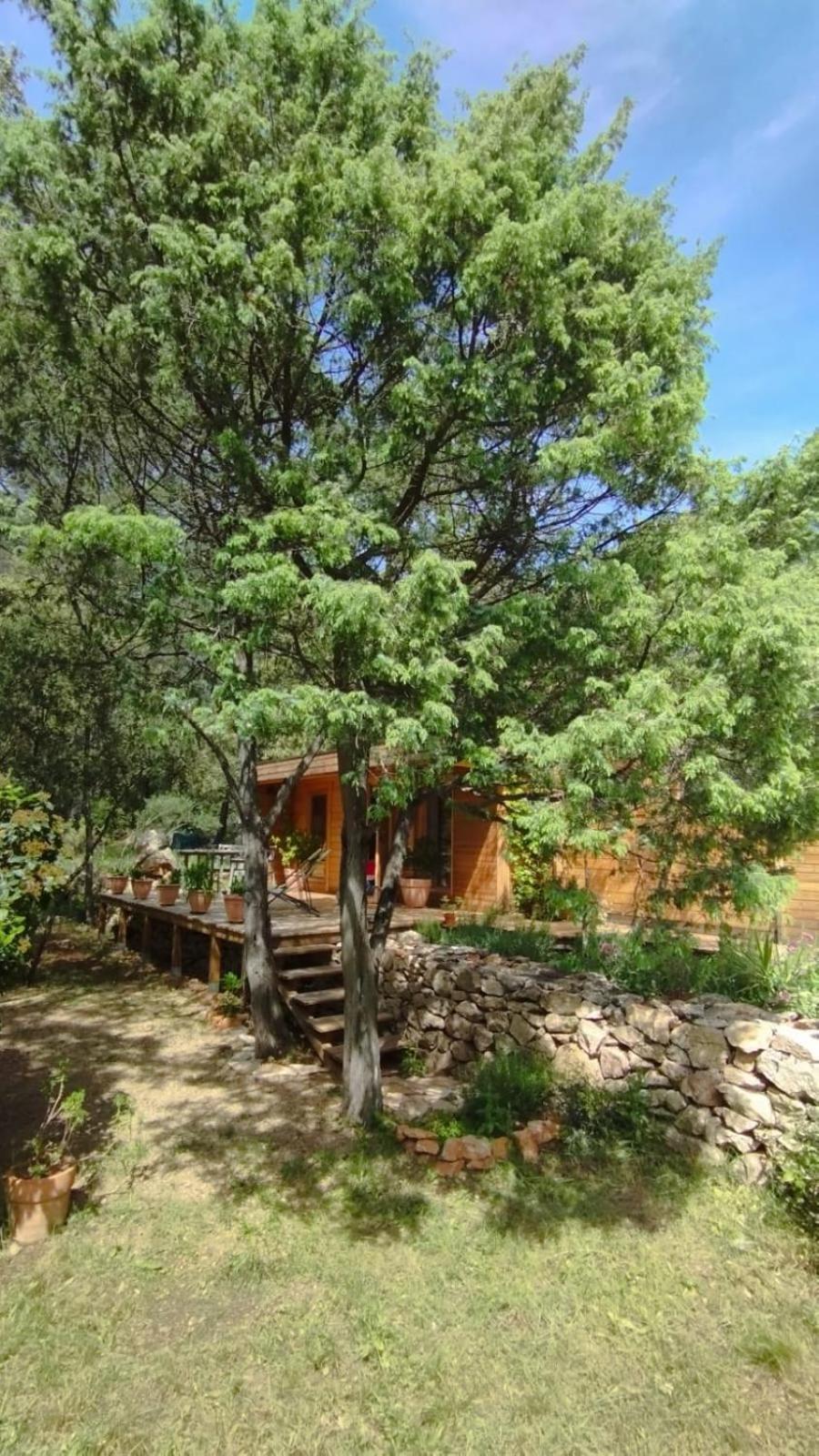 La Bergerie Des Colles Bed and Breakfast Entrecasteaux Eksteriør billede