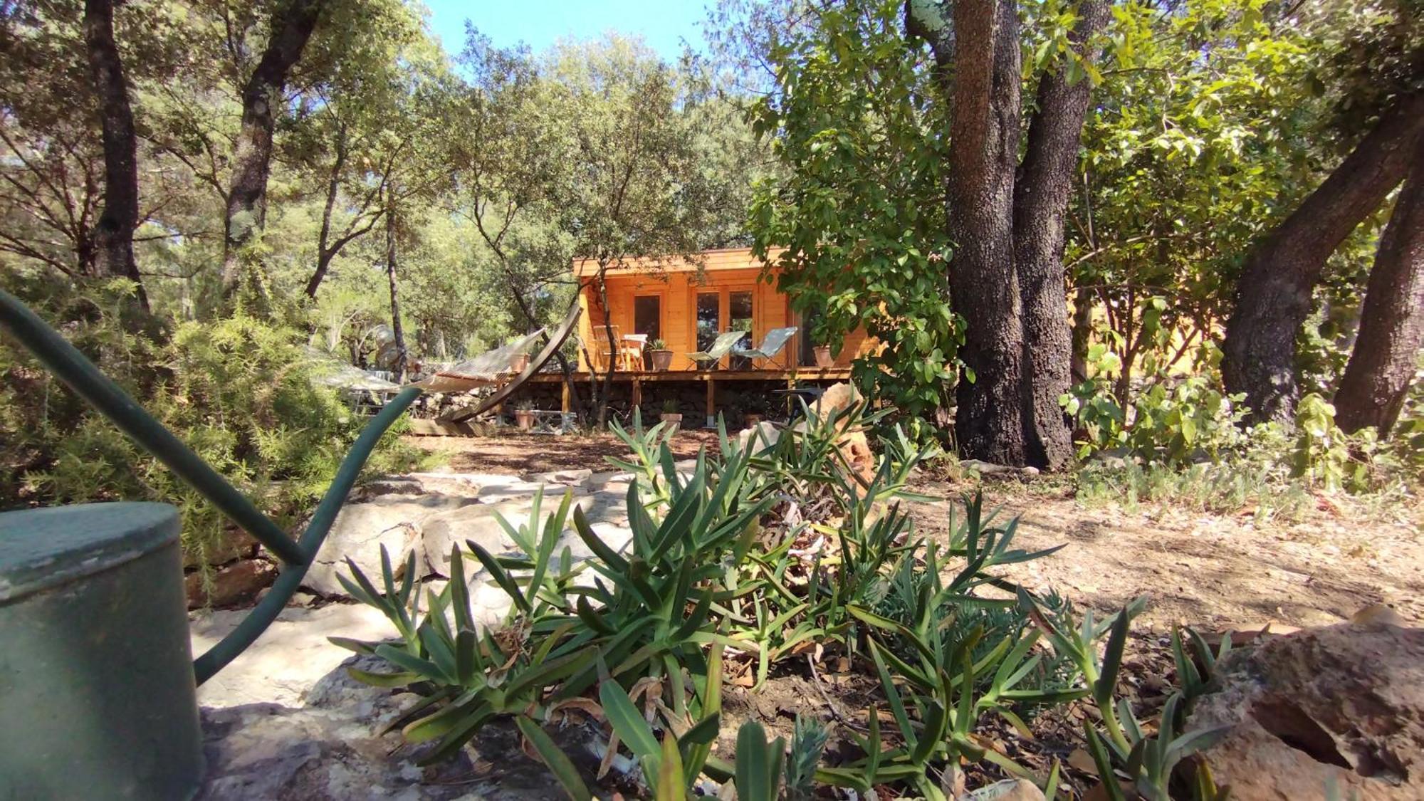La Bergerie Des Colles Bed and Breakfast Entrecasteaux Eksteriør billede